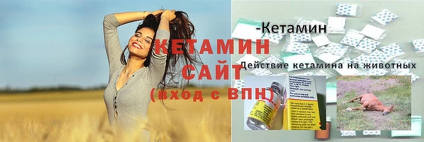 ГАЛЛЮЦИНОГЕННЫЕ ГРИБЫ Чегем