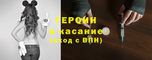 хмурый Тайга