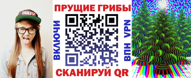 что такое Волжск Галлюциногенные грибы Psilocybine cubensis