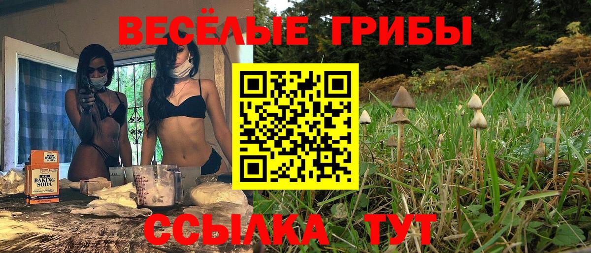 Волжск  закладки  Вход с VPN  Псилоцибиновые грибы прущие грибы 